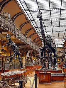 Bed and Breakfast_Paris_Enfants_Musee_Grande galerie evolution